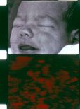 Stan Brakhage