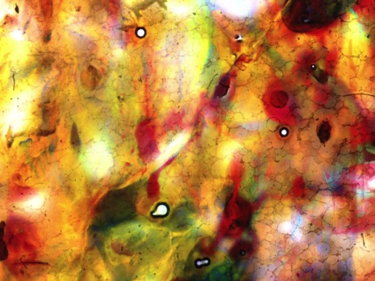 Stan Brakhage
