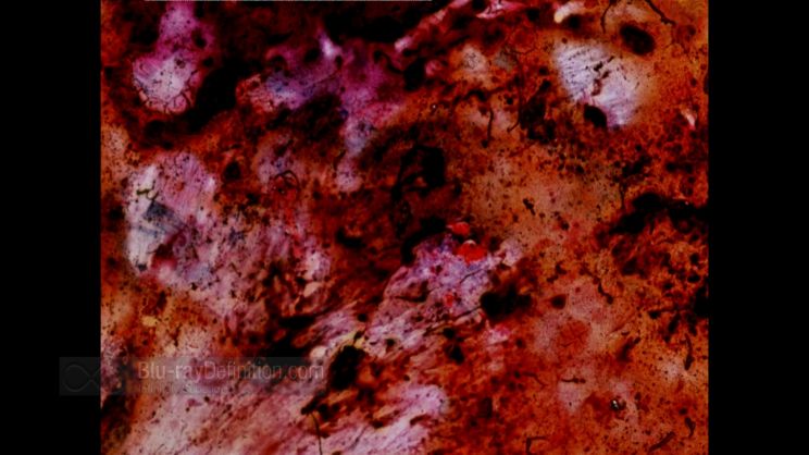 Stan Brakhage