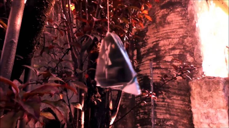 Stan Brakhage