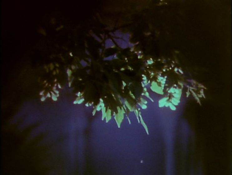 Stan Brakhage
