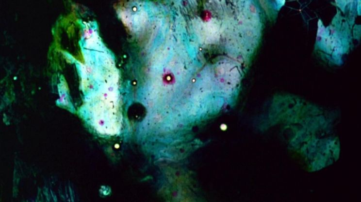 Stan Brakhage