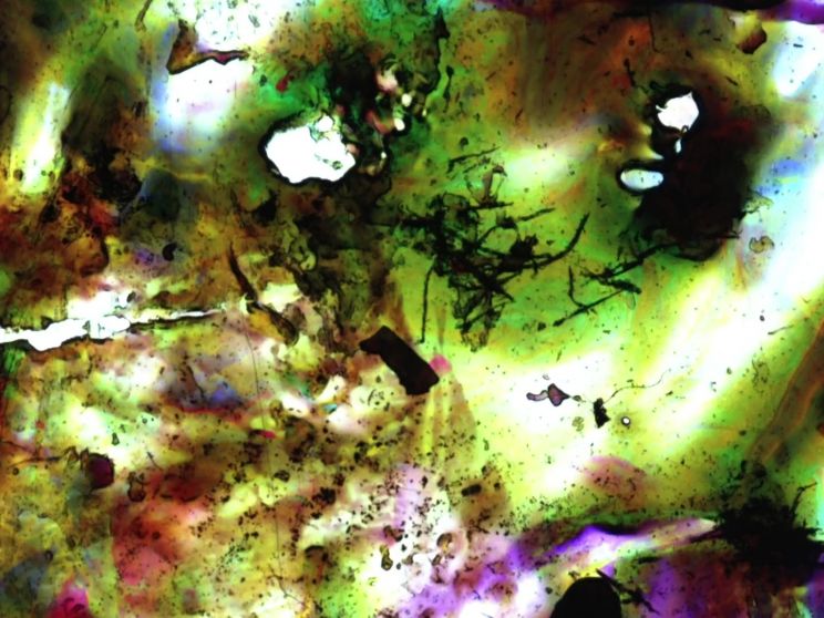 Stan Brakhage
