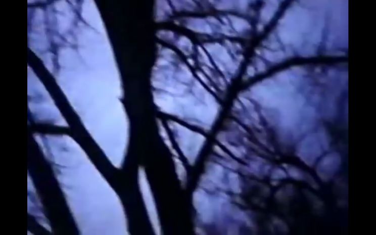 Stan Brakhage