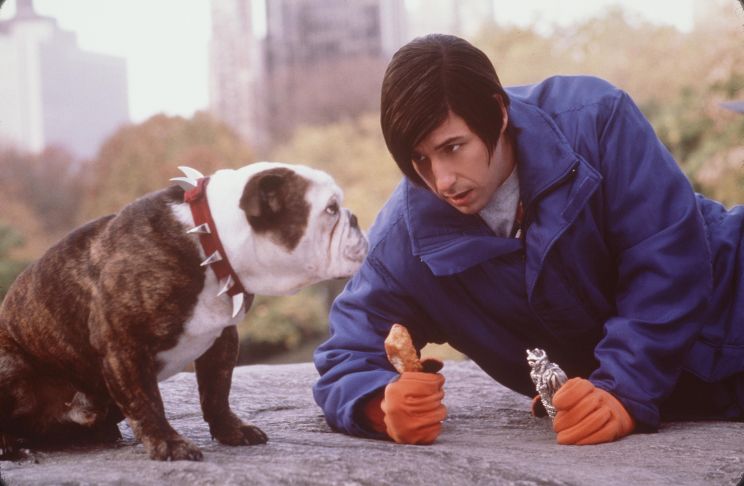 Stan Sandler
