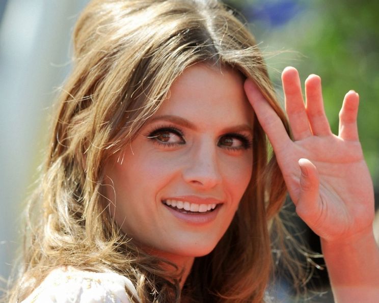 Stana Katic