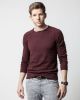 Stark Sands