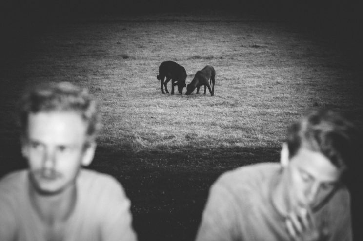 Stef Aerts