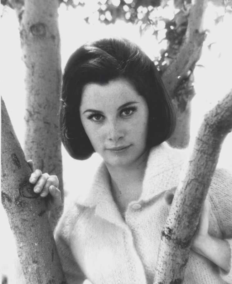 Stefanie Powers