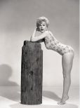 Stella Stevens