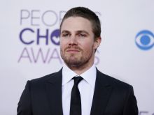Stephen Amell #10033 picture (Landscape Medium)