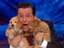 Stephen Colbert