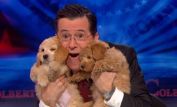 Stephen Colbert