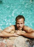 Stephen Dorff