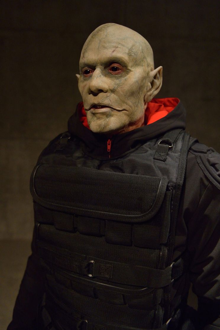Stephen McHattie