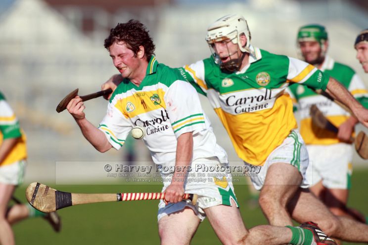 Stephen Molloy