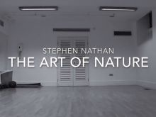 Stephen Nathan