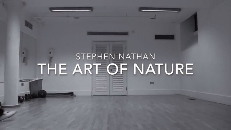 Stephen Nathan