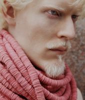 Stephen Thompson
