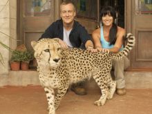 Stephen Tompkinson