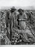 Stepin Fetchit