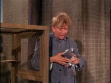 Sterling Holloway