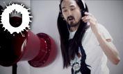 Steve Aoki