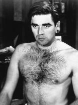 Steve Cochran