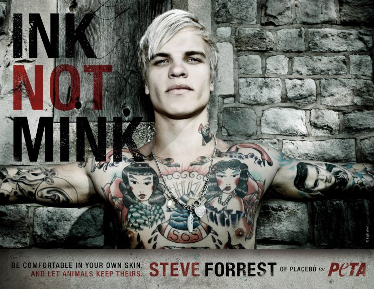 Steve Forrest