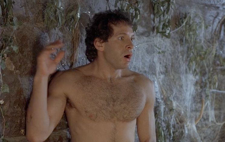 Steve Guttenberg