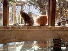 Steve Hanks