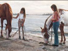 Steve Hanks