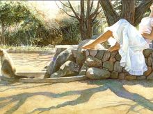 Steve Hanks