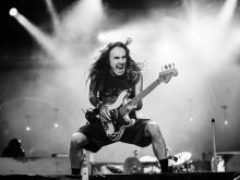 Steve Harris