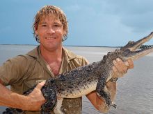 Steve Irwin