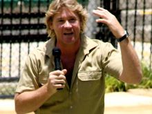 Steve Irwin