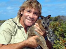 Steve Irwin