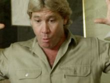 Steve Irwin