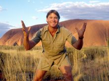 Steve Irwin