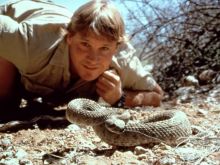 Steve Irwin