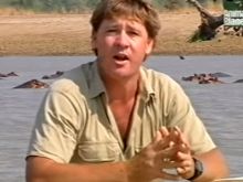 Steve Irwin