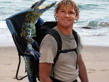 Steve Irwin