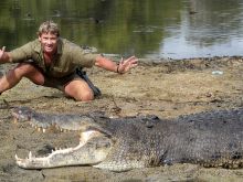 Steve Irwin