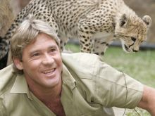 Steve Irwin