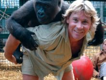 Steve Irwin