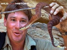 Steve Irwin