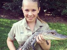 Steve Irwin
