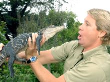 Steve Irwin
