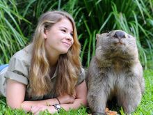 Steve Irwin