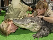 Steve Irwin